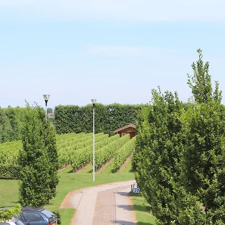 Wijngaard Saalhof Bed & Breakfast