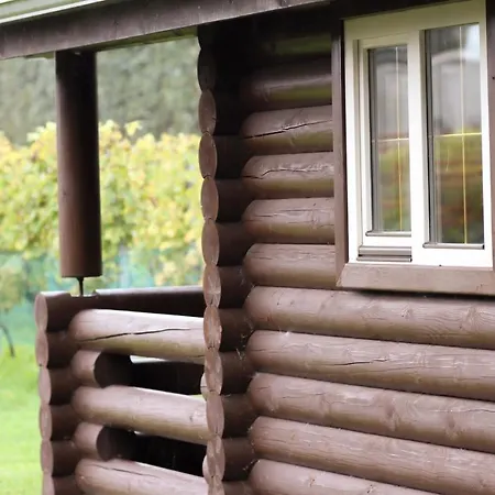 Wijngaard Saalhof Bed & Breakfast 3*