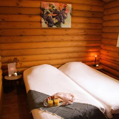 Wijngaard Saalhof Bed & Breakfast Wognum