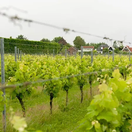 Wijngaard Saalhof Bed & Breakfast