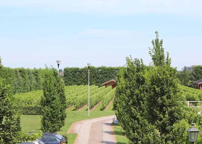 Wijngaard Saalhof Bed & Breakfast