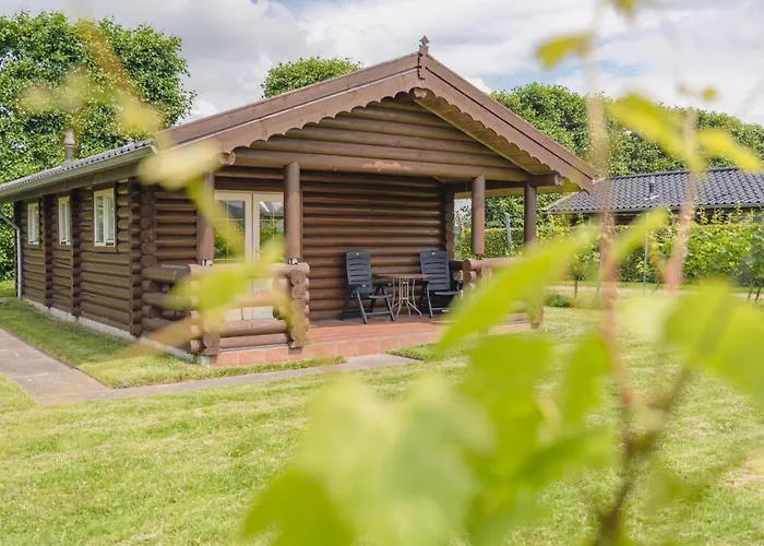 Wijngaard Saalhof Wognum