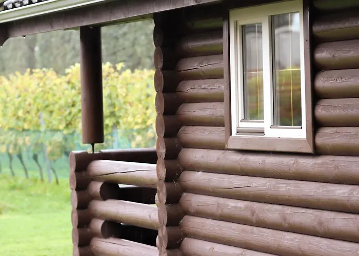 Wijngaard Saalhof Bed & Breakfast 3*