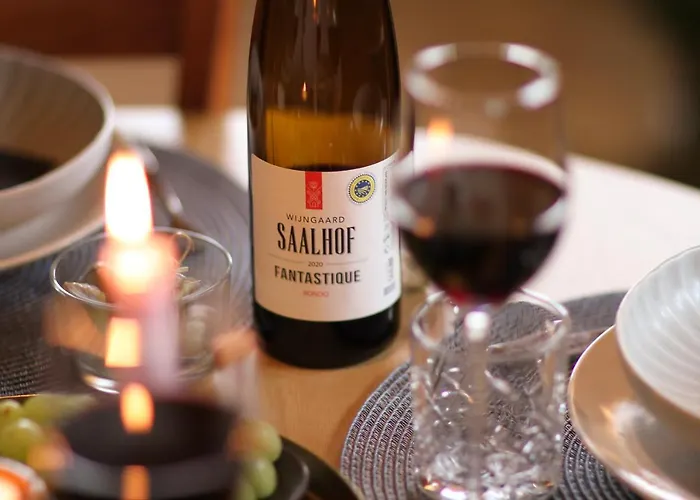 Bed & Breakfast Wijngaard Saalhof