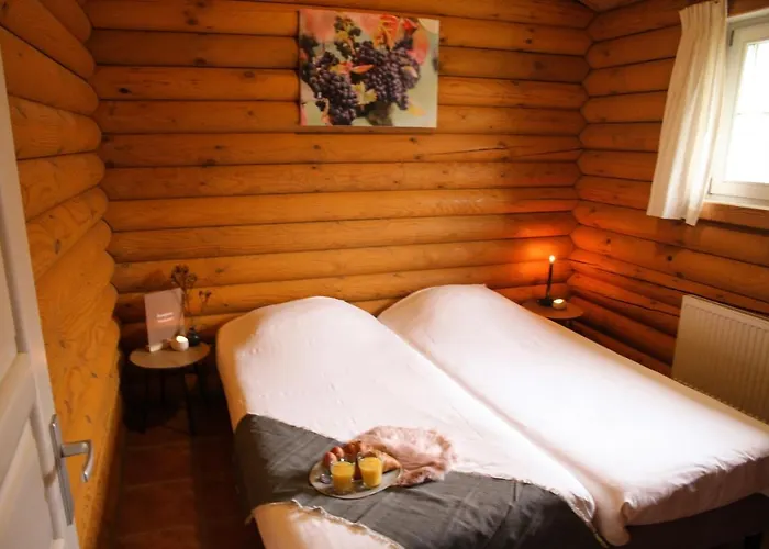 Wijngaard Saalhof Bed & Breakfast Wognum