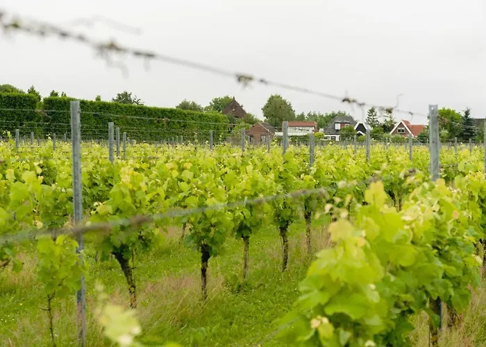 Wijngaard Saalhof Bed & Breakfast