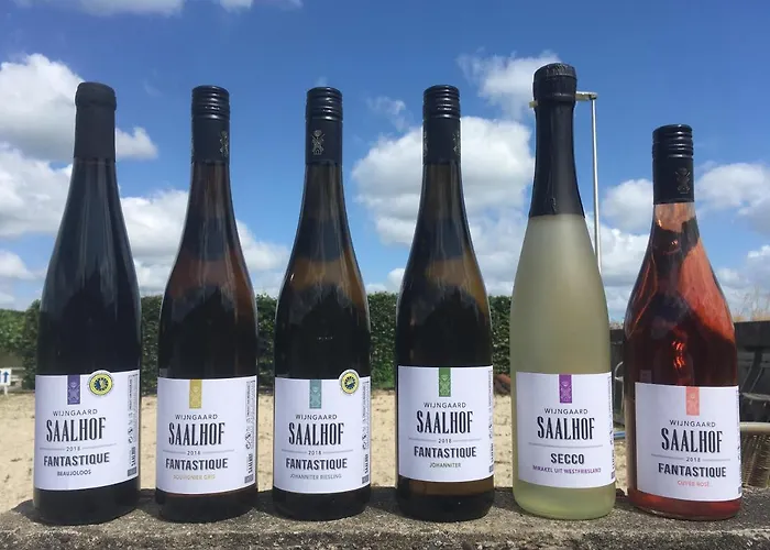 Wijngaard Saalhof 3*