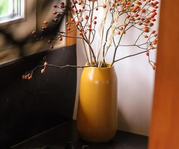 Wijngaard Saalhof 3* Wognum