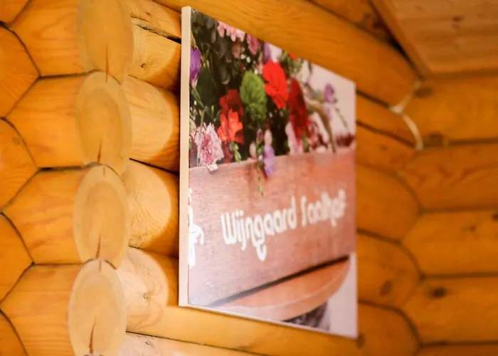 Wijngaard Saalhof Wognum